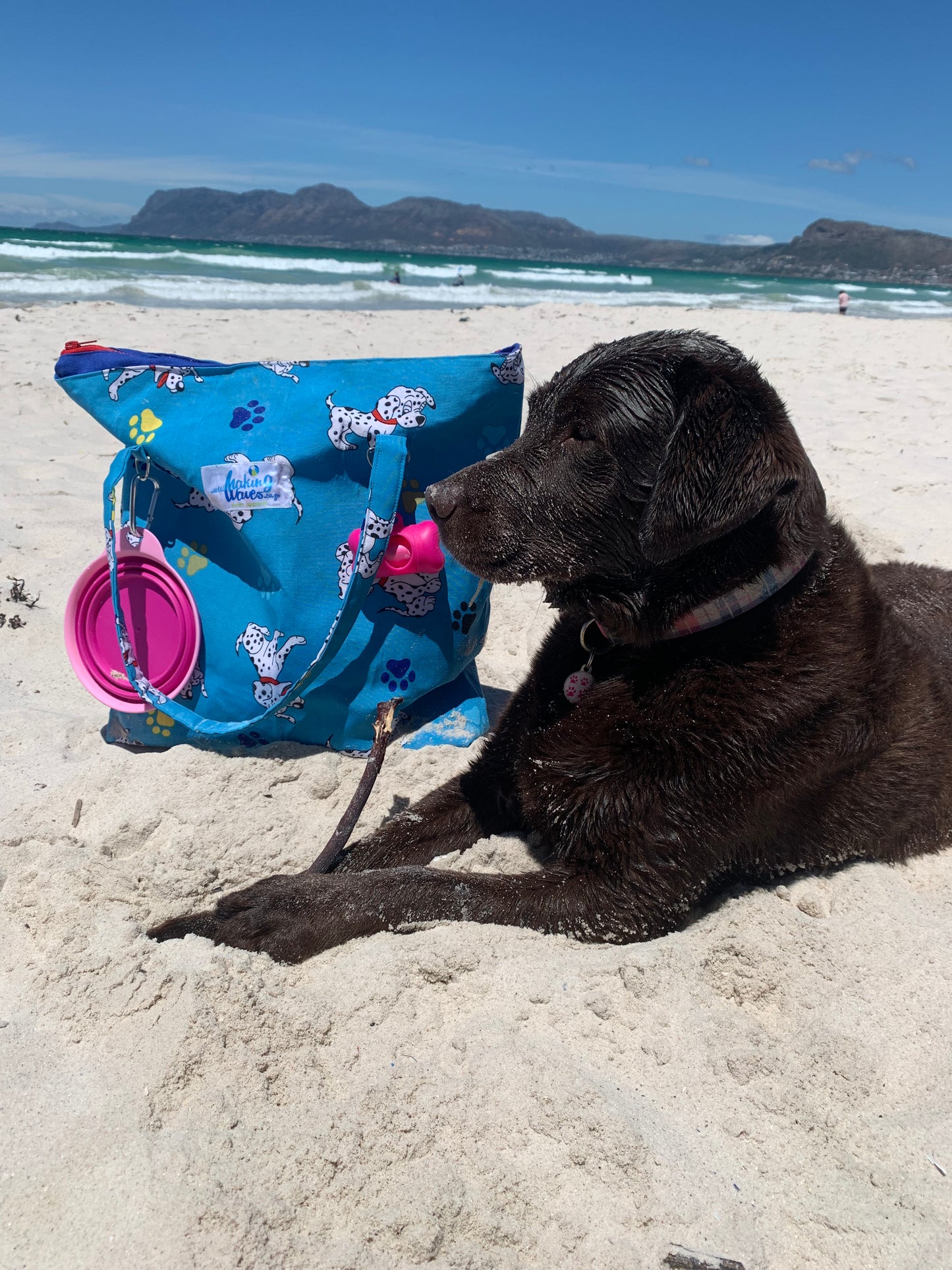 The Body Surf Beach Bag (for dog owners 🐕)